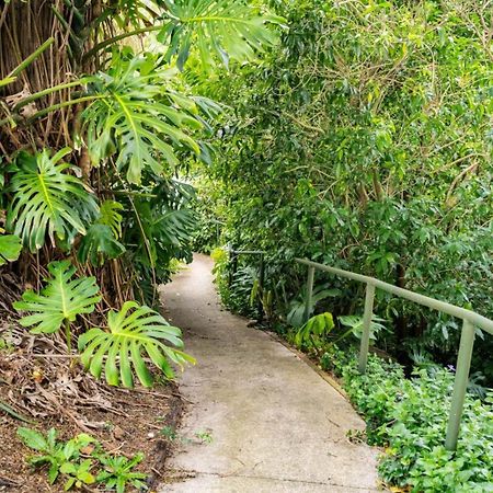 Hatea Treehouse Whangarei Luaran gambar