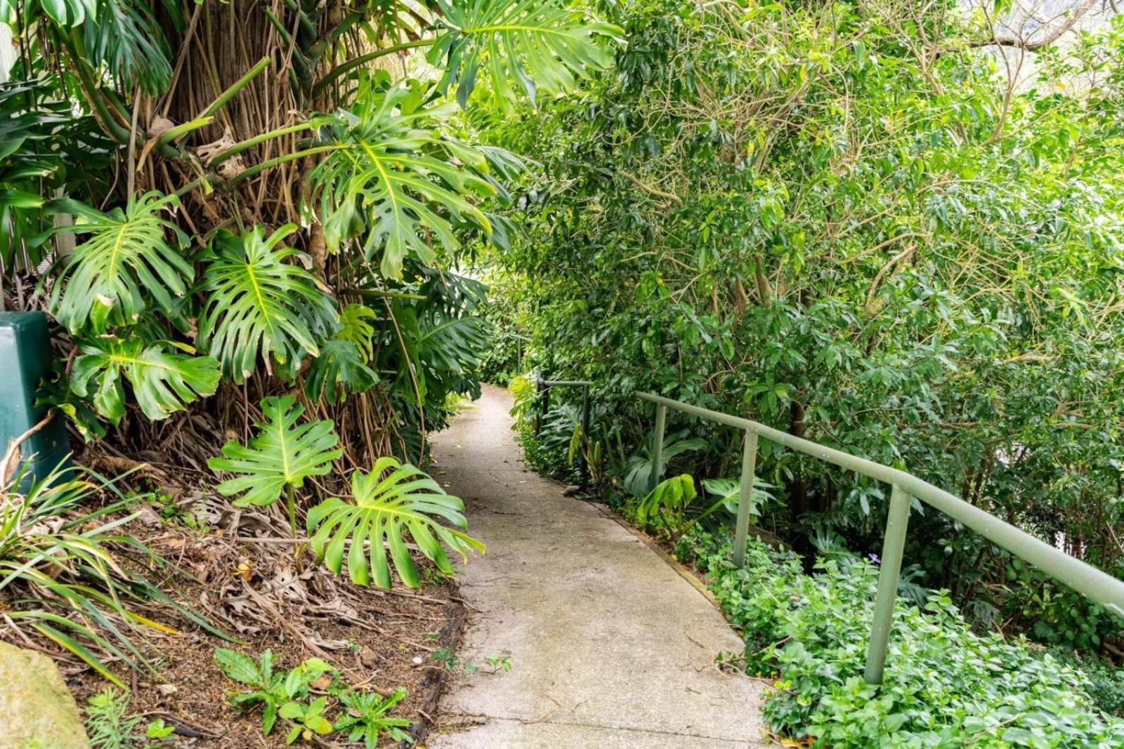 Hatea Treehouse Whangarei Luaran gambar