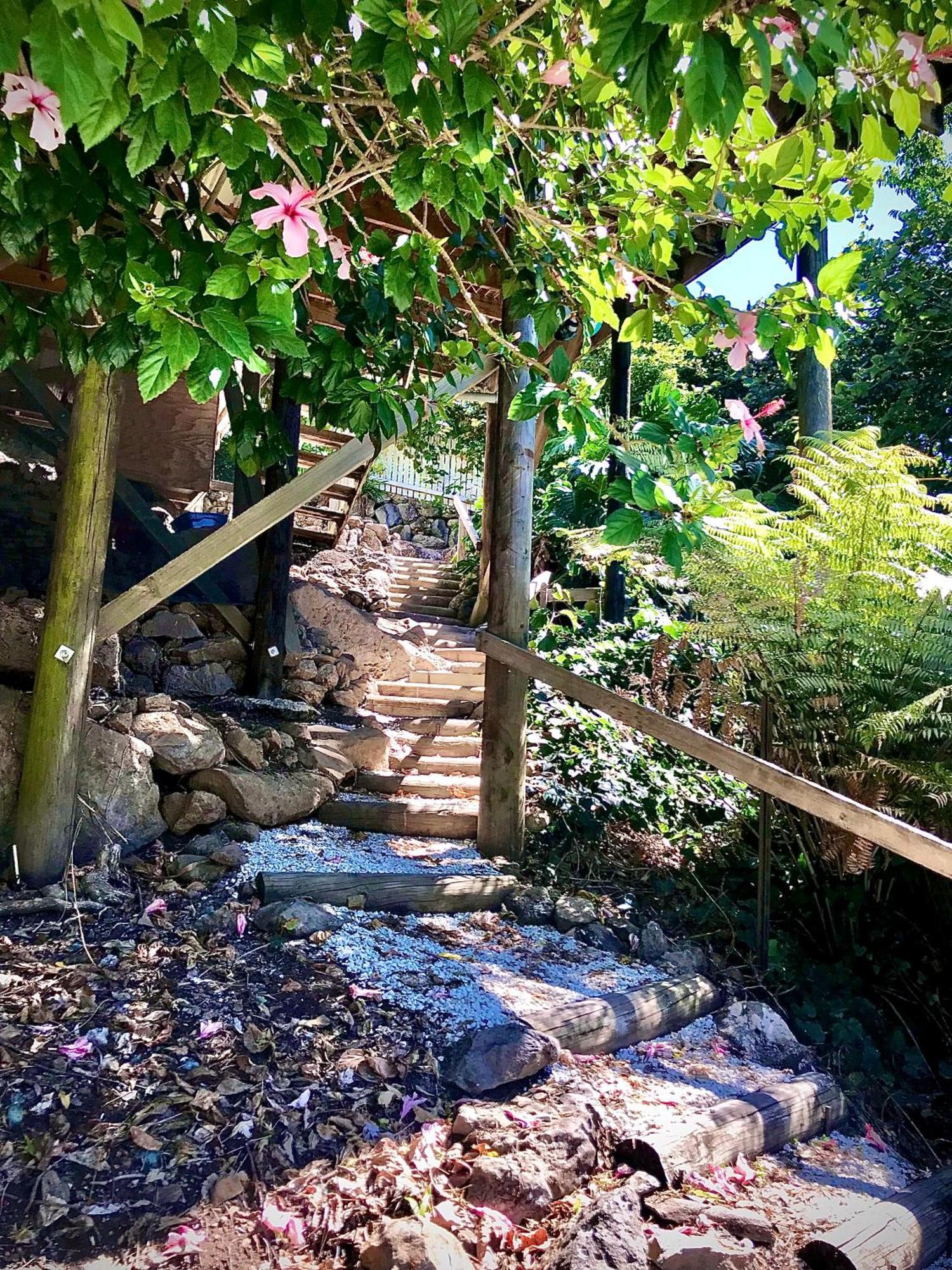 Hatea Treehouse Whangarei Luaran gambar